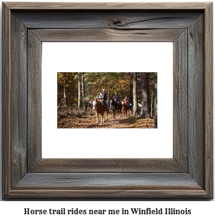 horse trail rides near me in Winfield, Illinois